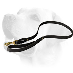 Leather Dog Leash For Labrador  Tracking