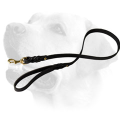 Riveted Leather Dog Leash For Labrador 