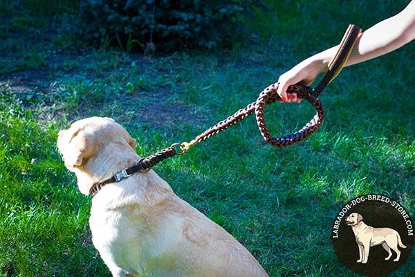 Labrador leather leash with rust-proof brass plated hardware for walking