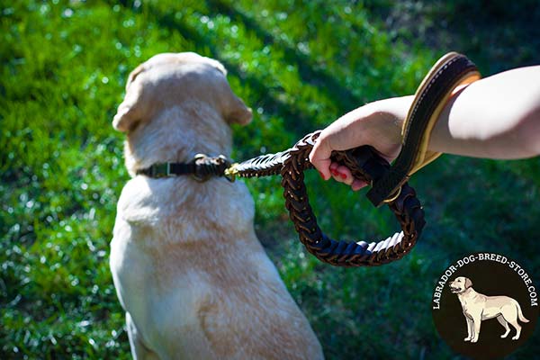 Labrador leather leash with strong hardware for any activity