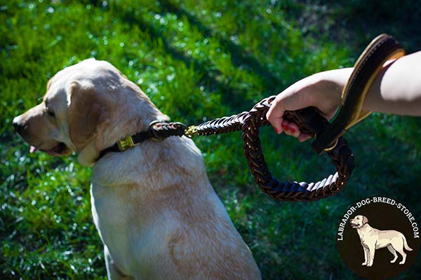 Labrador leather leash of braided design brass plated hardware for any activity