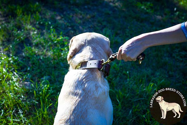 Labrador leather leash of genuine materials with handle for improved control