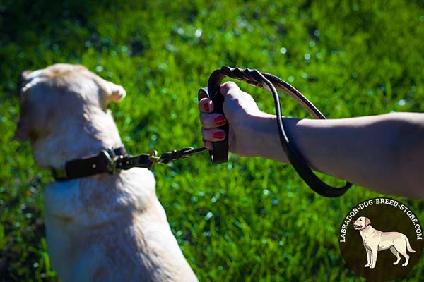 Labrador leather leash of lightweight material with brass plated hardware for daily walks
