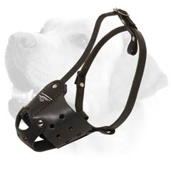 Walking Handcrafted leather Muzzle for Bulldog