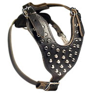 Labrador Studded Leather Dog Harness with Pyramids
