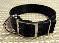 Order Now Nylon dog collar approx. 2 inch(40cm)