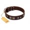 "Object of Virtu" FDT Artisan Brown Leather Labrador Collar with Old Silver-like Square Studs and Pyramids
