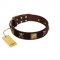 "Crazy Pirate" FDT Artisan Brown Leather Labrador Collar with Old Bronze-Plated Skulls and Plates