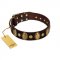 "Retro Pusle" FDT Artisan Brown Leather Labrador Collar with Old Bronze-like Studs and Oval Brooches