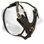 Labrador Exclusive Luxury Handcrafted Padded Leather Dog Harness