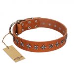 "Star Trek" FDT Artisan Tan Leather Labrador Collar Decorated with Stars