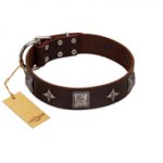 "Cold Star" Designer FDT Artisan Brown Leather Labrador Collar with Silver-Like Adornments