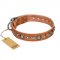 "Daily Chic" FDT Artisan Tan Leather Labrador Collar with Decorations