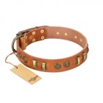"Natural Beauty" FDT Artisan Tan Leather Labrador Collar with Old Bronze-like Circles and Plates