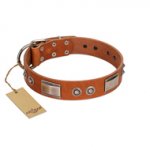 "Pawsy Glossy" FDT Artisan Exclusive Tan Leather Labrador Collar 1 1/2 inch (40 mm) wide
