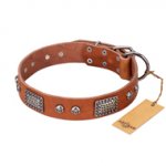 "Sparkling Skull" FDT Artisan Tan Leather Labrador Collar with Old Silver Look Plates and Skulls