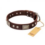 "Pirate Skull" FDT Artisan Brown Leather Labrador Collar with Old Silver Look Plates and Skulls