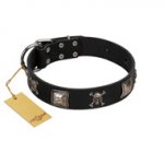 "Sea Rover" Embellished FDT Artisan Black Leather Labrador Collar with Chrome Plated Crossbones and Plates