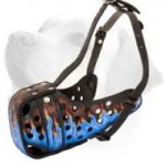 Blue Fire Sensation Leather Muzzle For Labrador