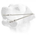 Chrome Plated Labrador Coupler for Walking 2 Dogs