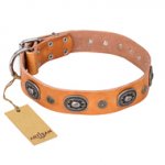 "Twinkle Twinkle" FDT Artisan Incredible Studded Tan Leather Labrador Collar