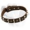 Super Decorative Leather Collar For Labrador