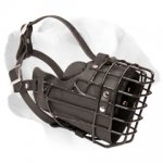 Winter Wire Cage Muzzle With Padding For Labrador