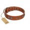 "Splendid Armor" Premium Quality FDT Artisan Tan Designer Labrador Collar with Shields and Stars