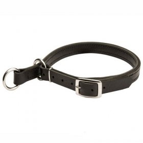 Adjustable Leather Slip Collar for Labrador