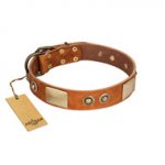 "Perfect Blend" FDT Artisan Tan Leather Labrador Collar 1 1/2 inch (40 mm) wide