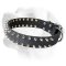 Stunning Spiky Leather Collar For Labrador