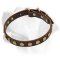 Cute Everyday Leather Collar For Labradors