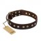 "Bronze Sheen" FDT Artisan Leather Labrador Collar with Brass-Plated Studs