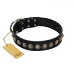 "Black Eagle" Handcrafted FDT Artisan Black Leather Labrador Collar with Silver-Like Adornments