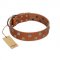 "Ancient Symbol" Trendy FDT Artisan Tan Leather Labrador Collar with Silver- and Gold-Like Studs