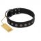 "Silent Star" Handmade FDT Artisan Designer Black Leather Labrador Collar with Engraved Plates