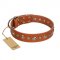 "Gorgeous Roundie" FDT Artisan Tan Leather Labrador Collar with Chrome-plated Circles