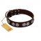 "High and Mighty" FDT Artisan Classy Brown Leather Labrador Collar with Embellished Brooches
