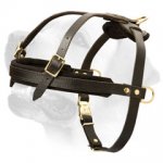 Labrador Professional Pulling Leather Harness
