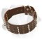 Wide Labrador Leather Collar With Furious Decoration