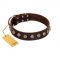 "Gape Buster" FDT Artisan Brown Leather Labrador Collar with One Row of Studs