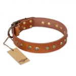 "Spring Flavor" FDT Artisan Adorned Leather Labrador Collar with Old Bronze-Plated Engraved Studs
