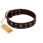 "Menacing Allure" FDT Artisan Brown Leather Labrador Collar Embellished with Silvery Crossbones and Square Studs