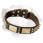 Armored Dog Leather Collar With Stylish Flamboyant Decoration