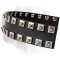 Stunning Leather Labrador Collar Decorated With Studs