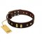 "Blinking Illusion" FDT Artisan Brown Leather Labrador Collar with Old Bronze-like Studs and Plates