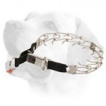 Stainless Steel Pinch Labrador Prong Collar with Click Lock Buckle and Nylon Loop 1/8 inch (3.2 mm)