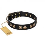 "Golden Artifact" FDT Artisan Black Leather Labrador Collar with Old-bronze Covered Medallions