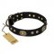 "High Fashion" FDT Artisan Studded with Plates Black Leather Labrador Collar