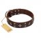 "Stars in Sands" Modern FDT Artisan Brown Leather Labrador Collar with Studs and Stars